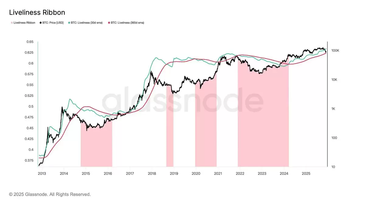比特币（BTC） “活力” 指标上升表明牛市可能会继续