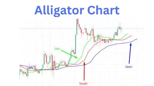 比尔·威廉姆斯是谁,为什么他的指标很重要？比尔·威廉姆斯的关键交易指标有哪些？