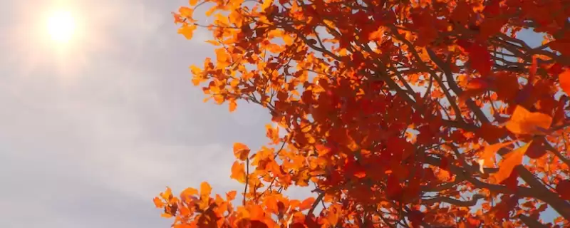 《奇异人生:重聚》结局成就解锁指南