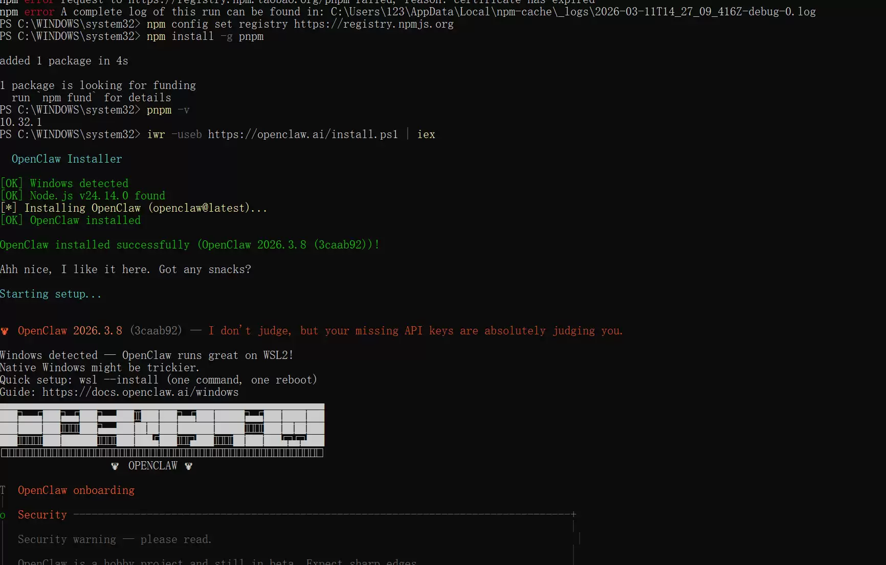 切换至官方npm源后成功安装pnpm的终端截图