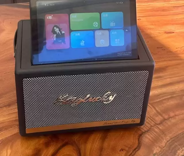 2026年带屏K歌音响推荐：从入门到高配怎么挑不踩雷