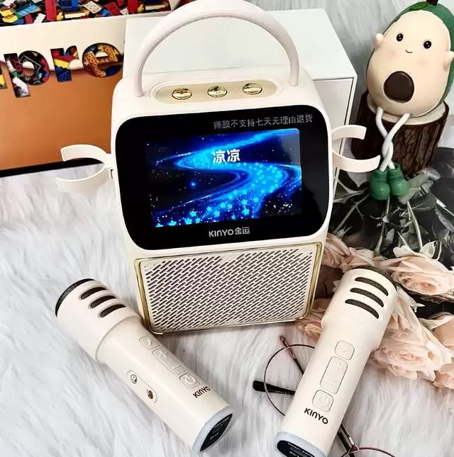 2026年带屏K歌音响推荐：从入门到高配怎么挑不踩雷