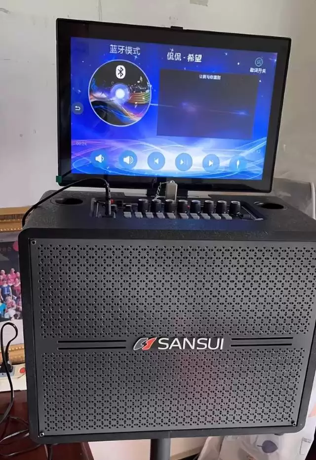 2026年带屏K歌音响推荐：从入门到高配怎么挑不踩雷