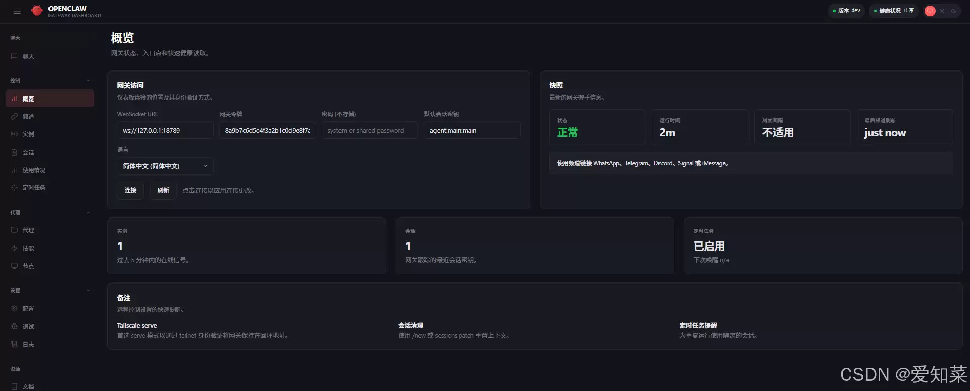 OpenClaw控制台主界面