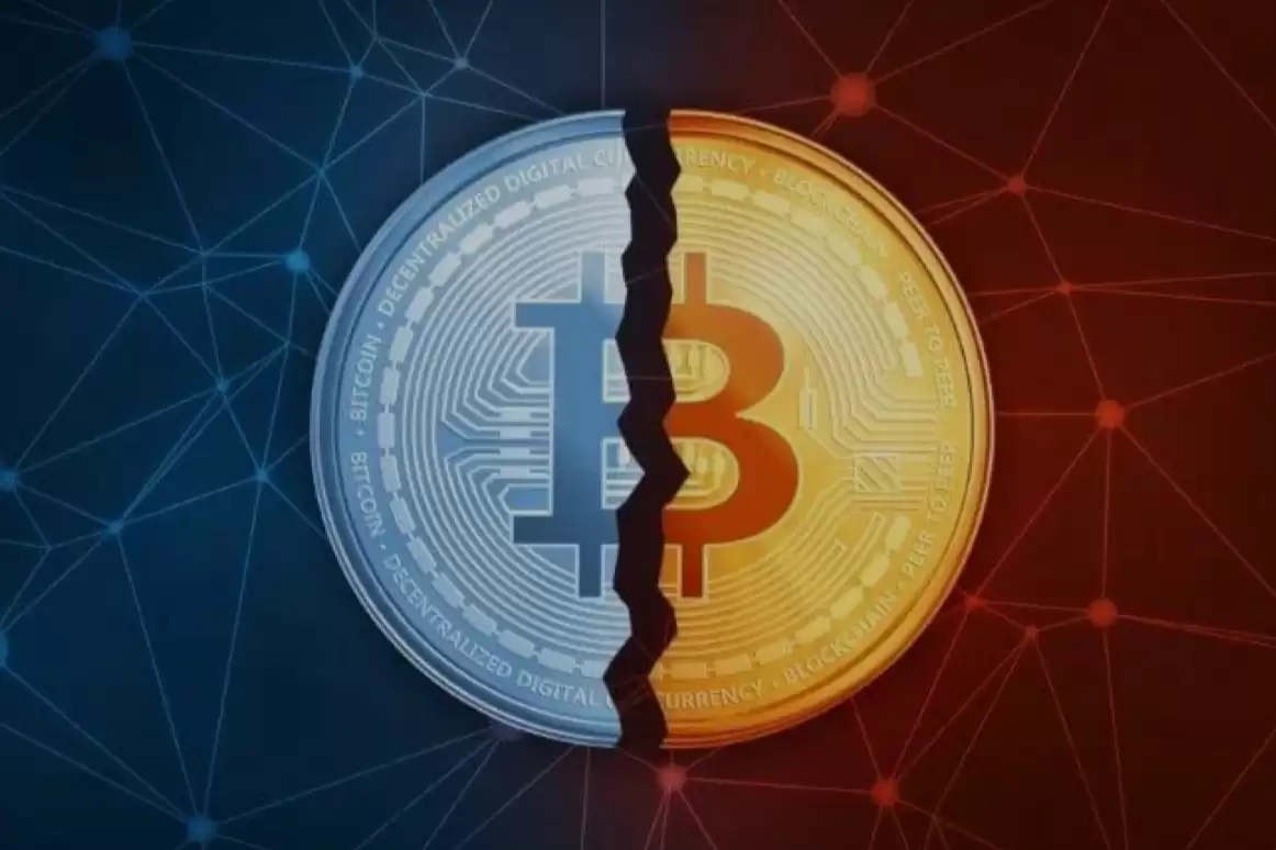 比特现金与比特币生态应用场景对比图