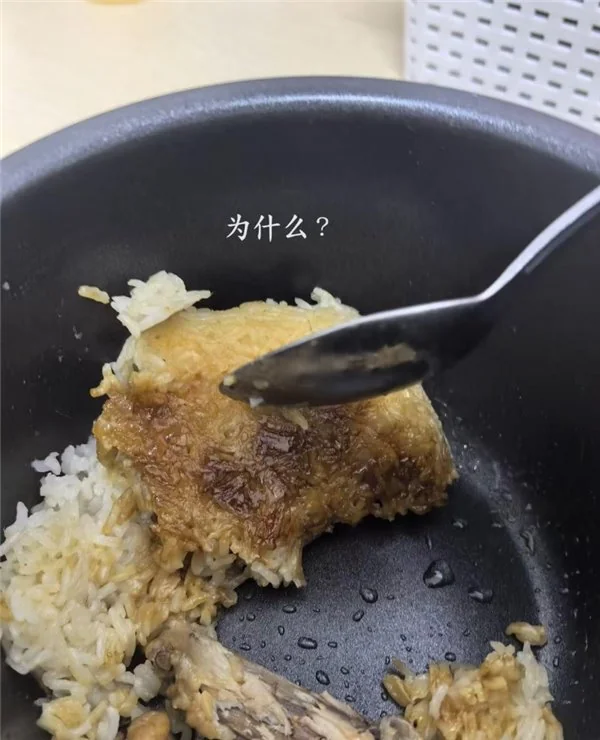 2026 多功能电饭煲推荐家用哪个品牌好？3 款电饭煲对比
