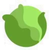 CAB币(Cabbage)总部在那里？ - 深度解析新加坡区块链优势