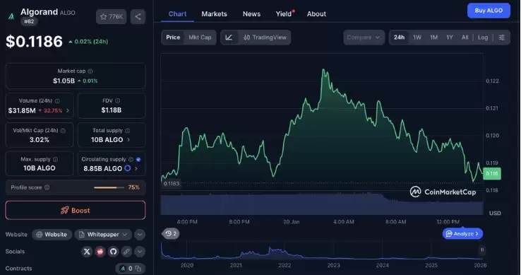 Algorand（ALGO ）价格预测展望:2026年1月