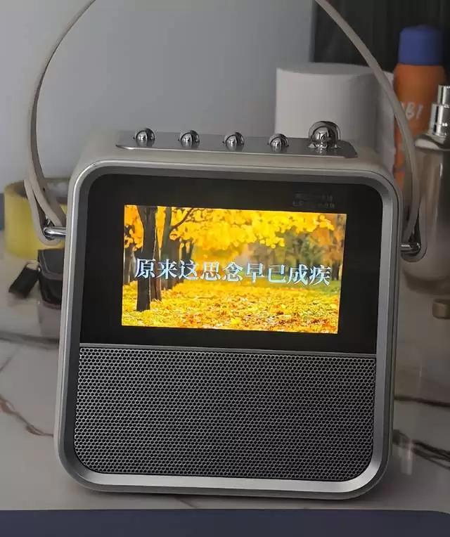 2026年带屏K歌音响推荐：从入门到高配怎么挑不踩雷