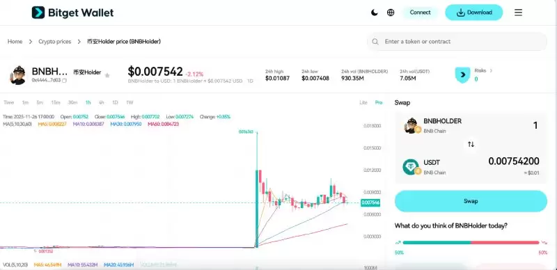 BNBHOLDER币价格预测