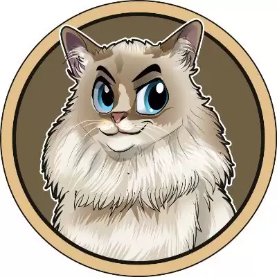 MURPHY币(MURPHYCAT)价格波动分析 Web3投资风险提示