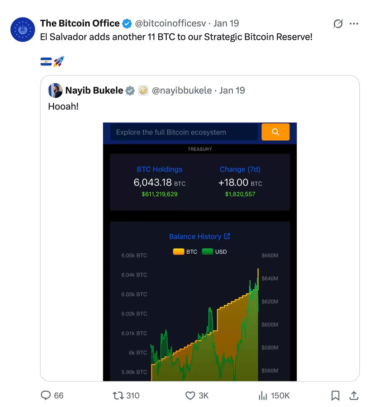 比特币项目落幕，教育转向全球