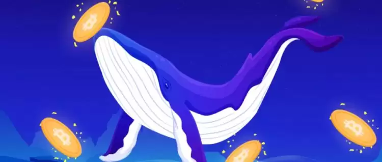 比特币抄底时机分析与五大关键指标