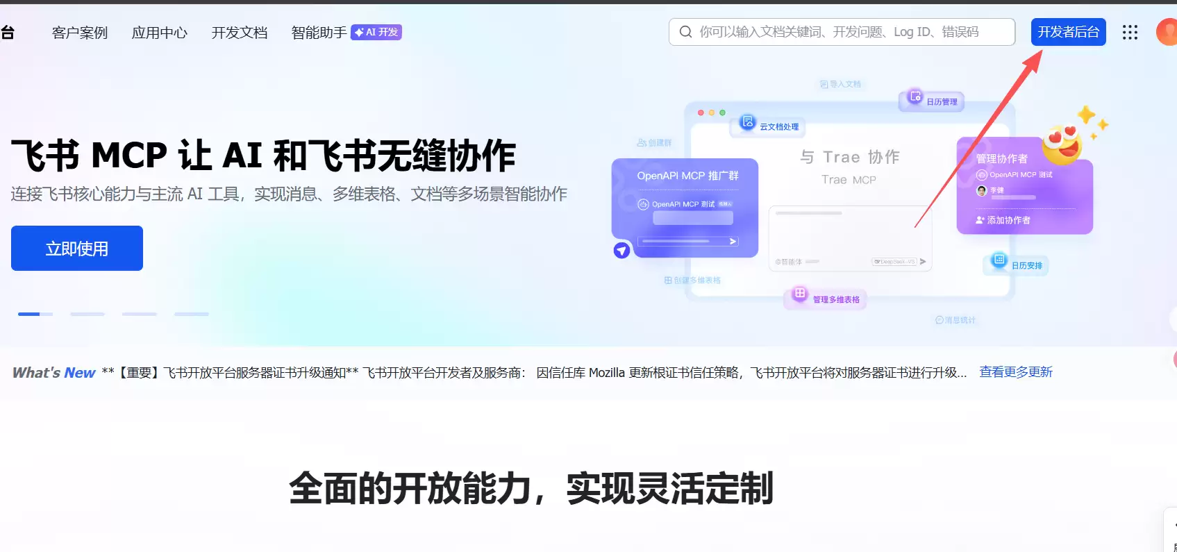飞书开发者后台界面