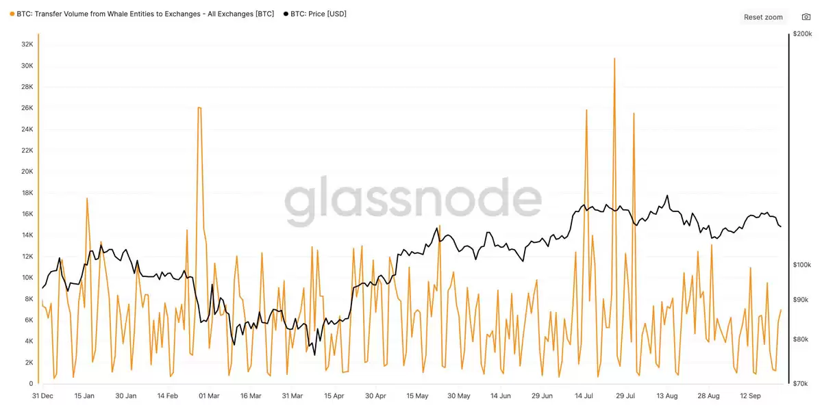 比特币巨鲸一个月抛售 14.7 万枚 BTC:下一站是 10 万美元吗？一文了解