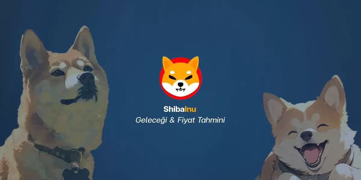 柴犬币还有上涨空间吗？未来价格如何？SHIB币价格预测与获得方法