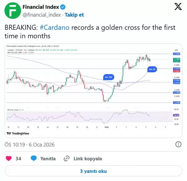 XRP与 Cardano 在支付与DeFi领域对比