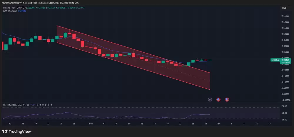 本周值得购买的五种价位低于1美元的替代币