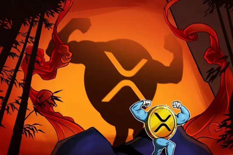 XRP 是新的比特币吗?为什么华尔街不能停止谈论其 ETF