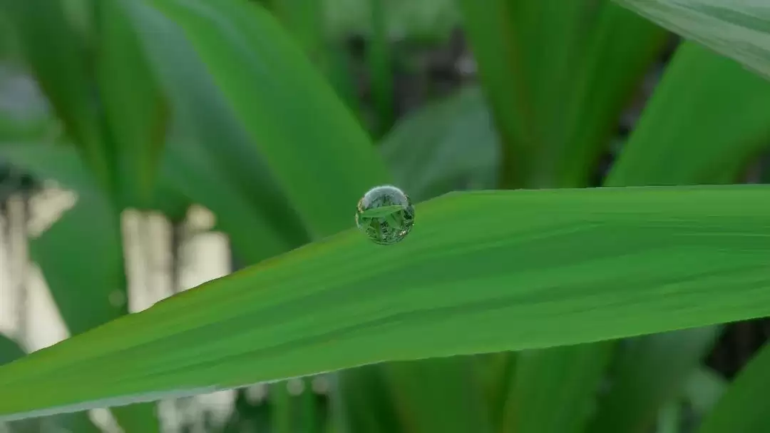 《红色沙漠》惊人细节 一颗水珠竟能倒映周遭环境