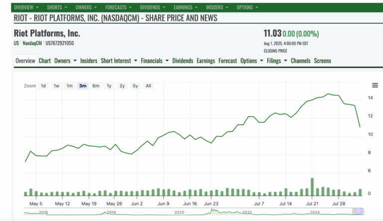 一文盘点2025年值得关注的七大比特币挖矿公司