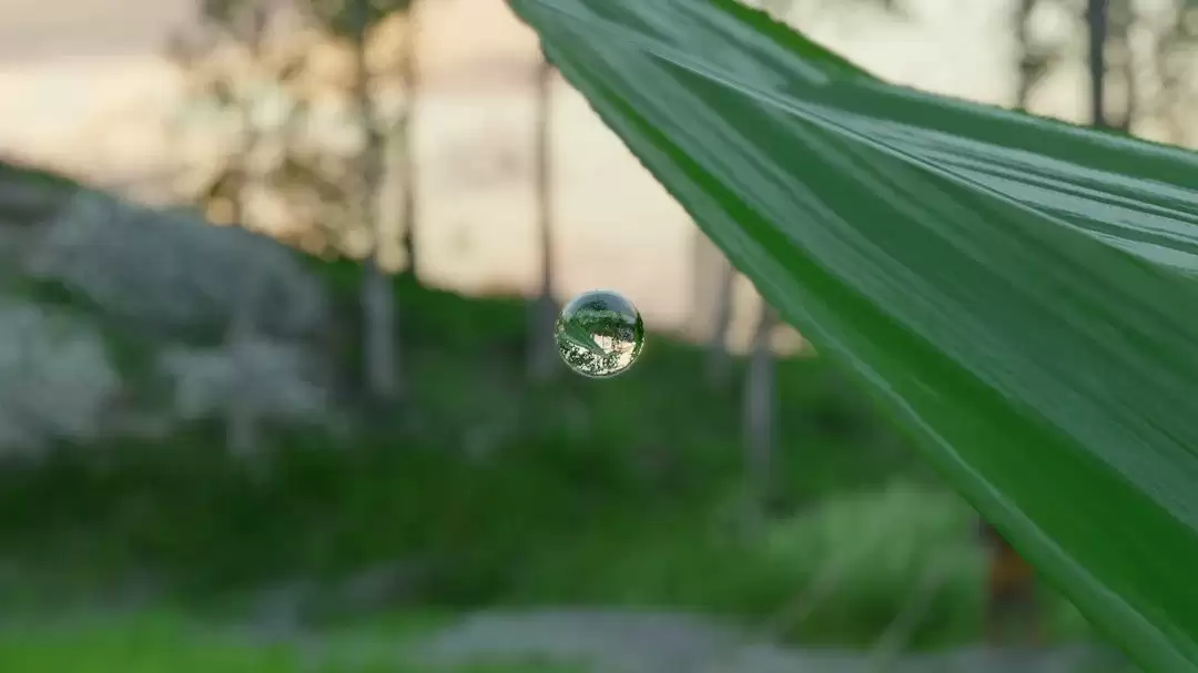 《红色沙漠》惊人细节 一颗水珠竟能倒映周遭环境