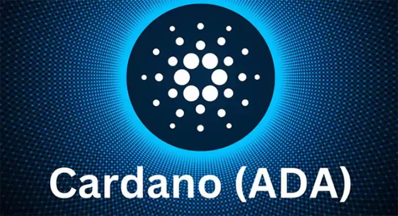 Cardano（ADA)币未来展望:ETF、生态系统和价格预测介绍