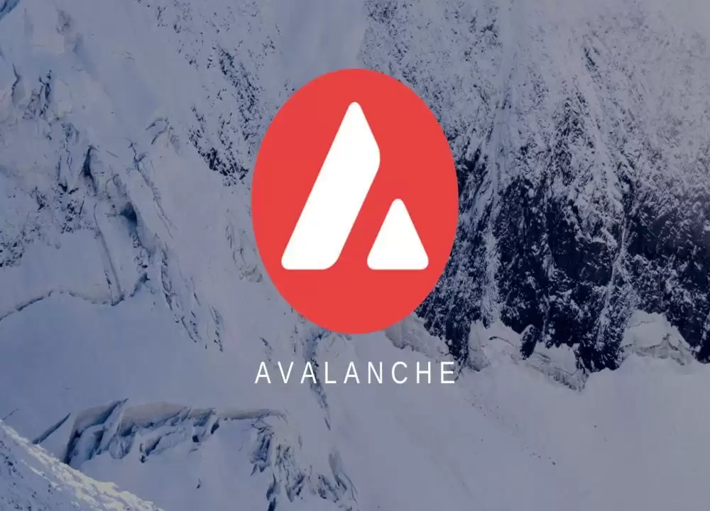 Avalanche(AVAX)雪崩协议核心功能与代币经济学深度图解