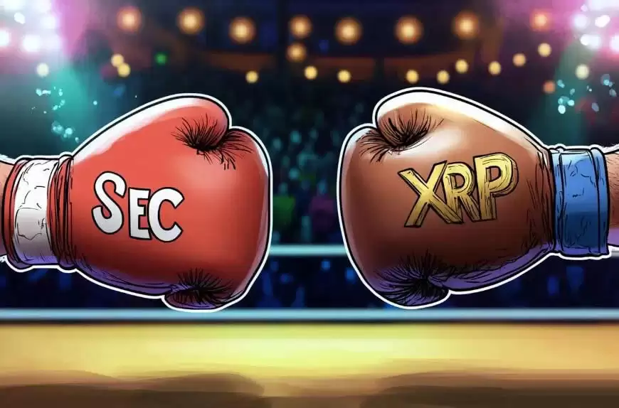 XRP监管前景明朗化,推动价格上涨