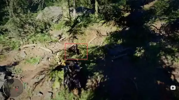 森林中的井口位置