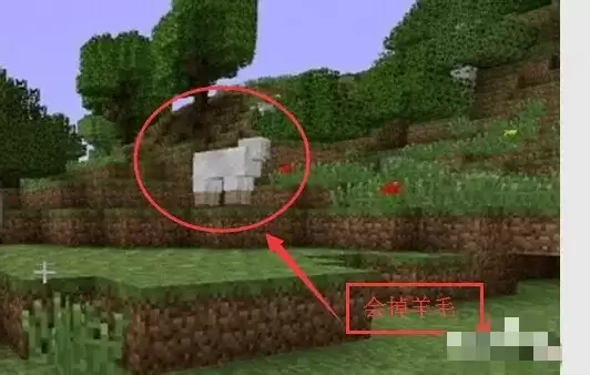 我的世界如果设置重生点