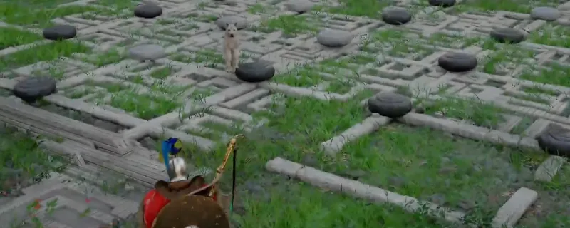 《红色沙漠》影子森立水边遗迹解谜攻略