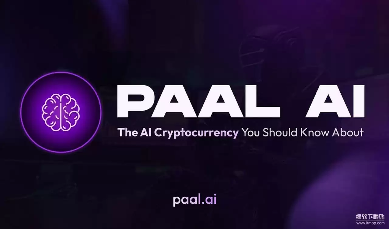 PAAL代币如何参与治理？社区投票能决定哪些事项？