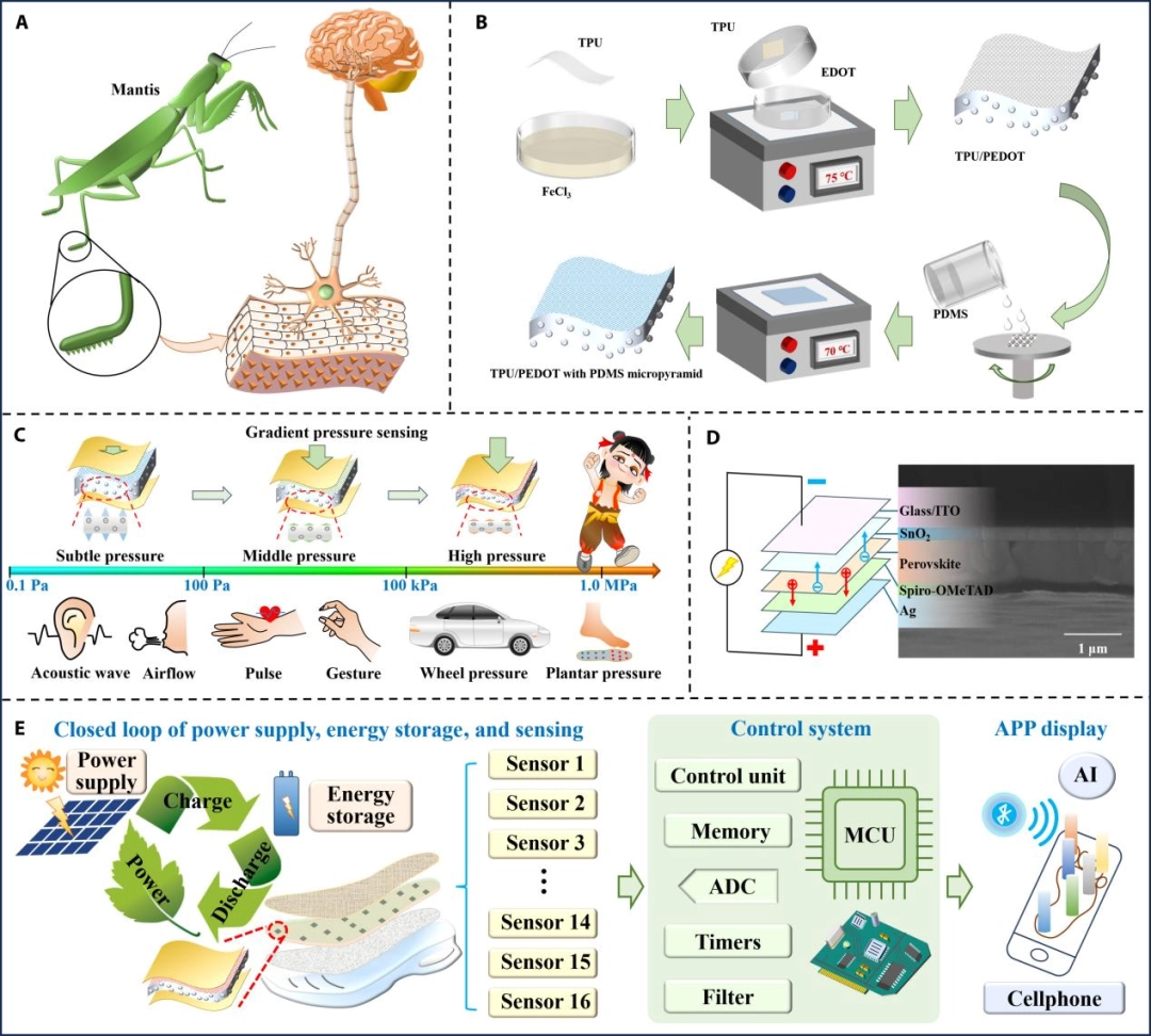没病走两步,西电团队开发出能监测身体状况的柔性传感鞋垫