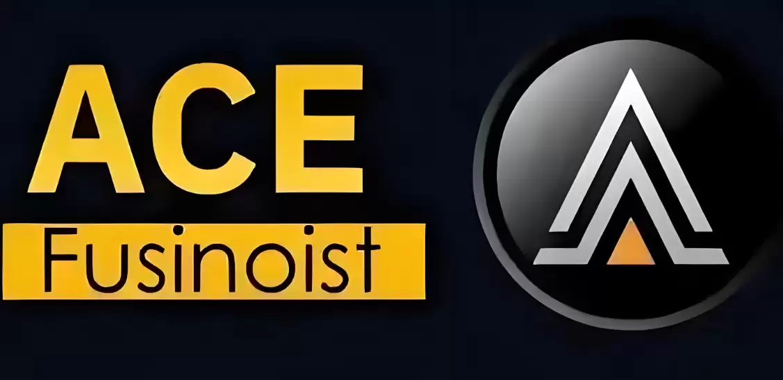 ACE币与Endurance平台生态关系示意图