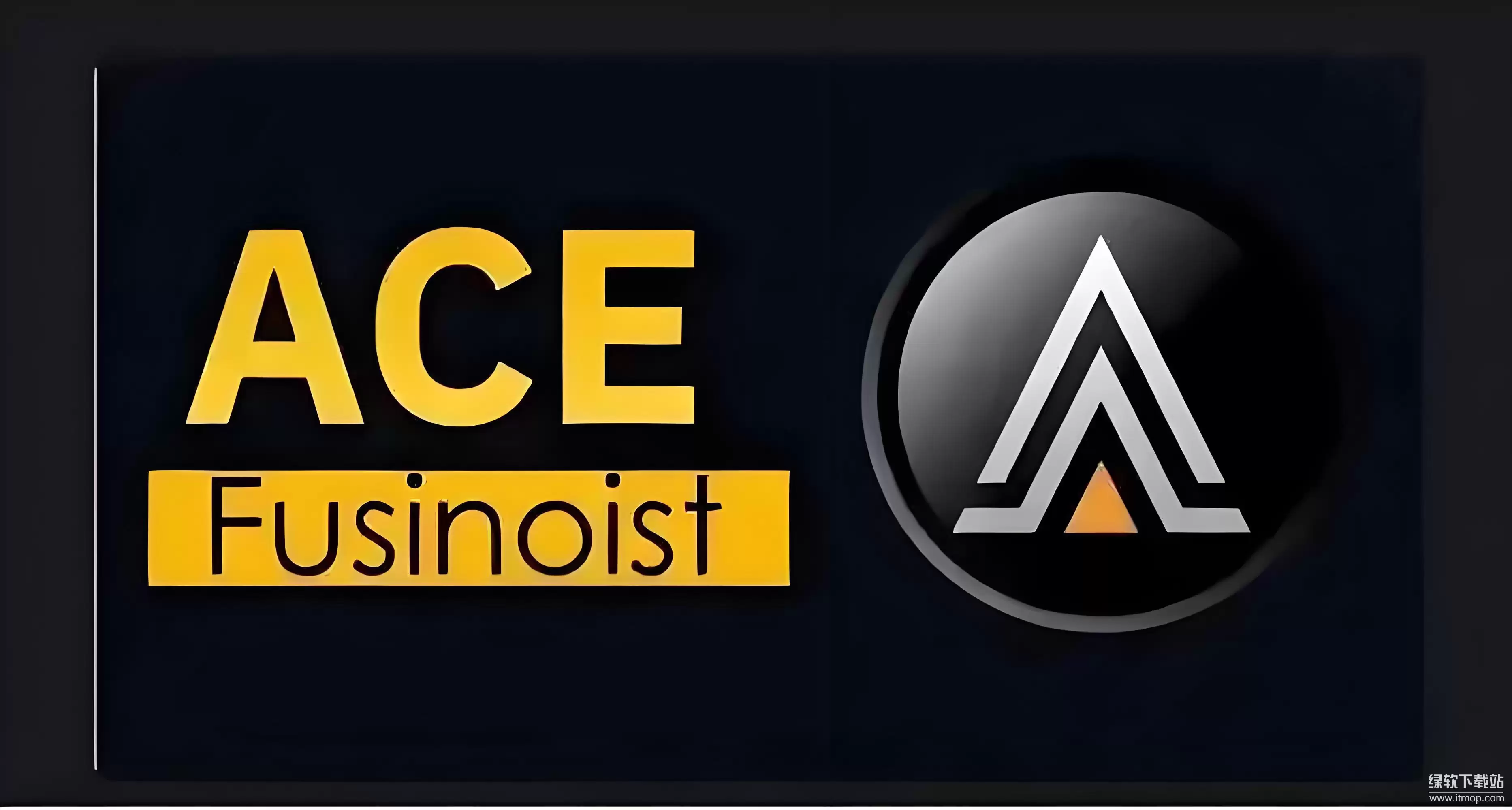 Ace币在Endurance生态中的核心地位示意图