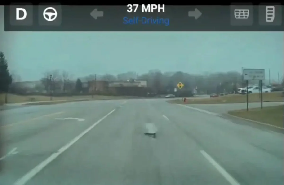 特斯拉 FSD v14.3 推送：反应速度提升 20%、全球车队协同学习