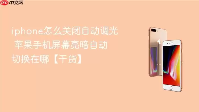iphone怎么关闭自动调光 苹果手机屏幕亮暗自动切换在哪【干货】