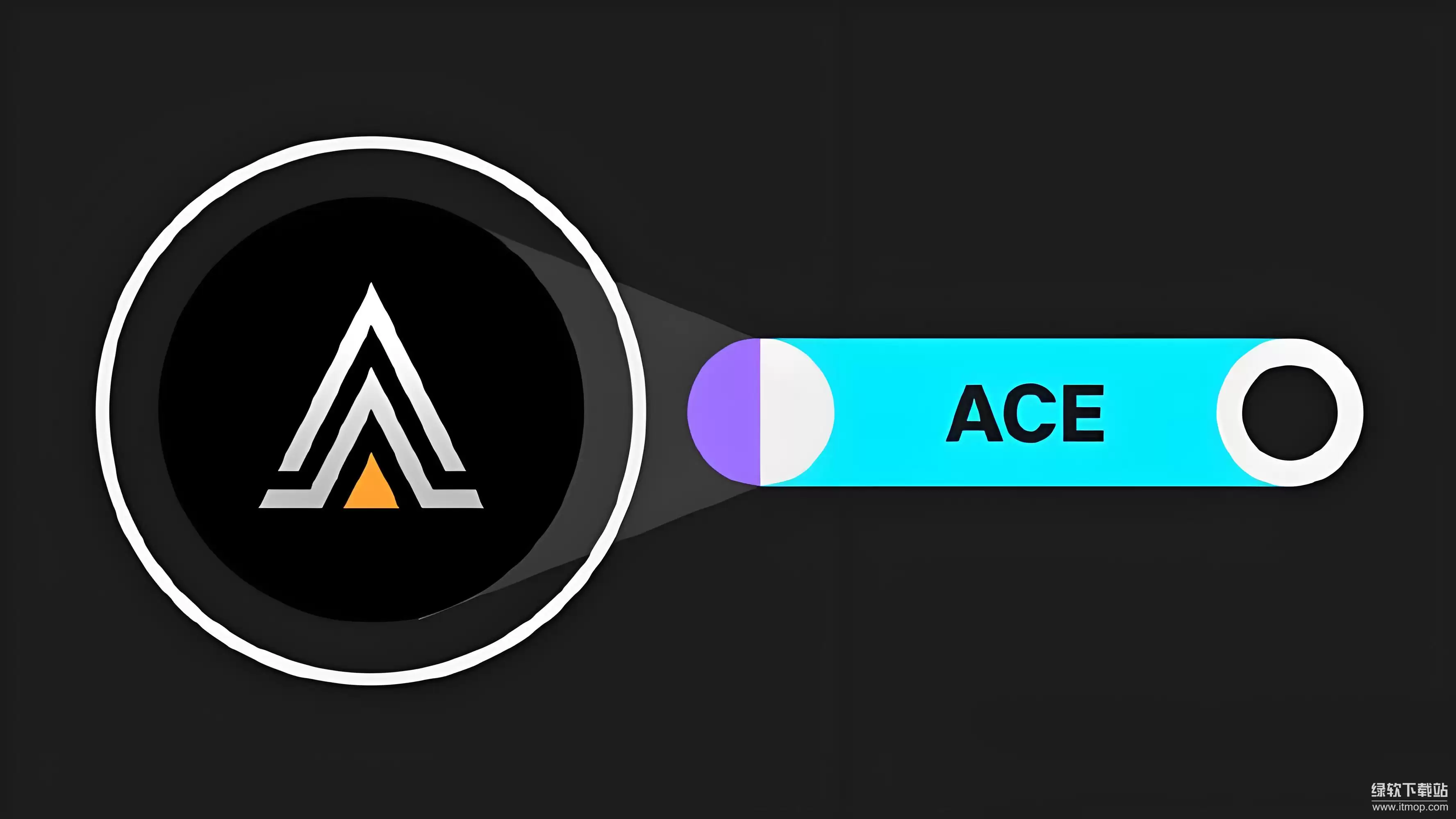 Ace币未来发展趋势与风险评估