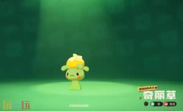 洛克王国世界奇丽花抓取位置 洛克王国世界在那抓奇丽花