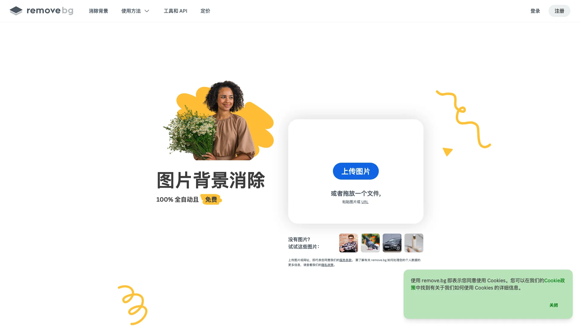 remove.bg-在线自动抠图专业工具