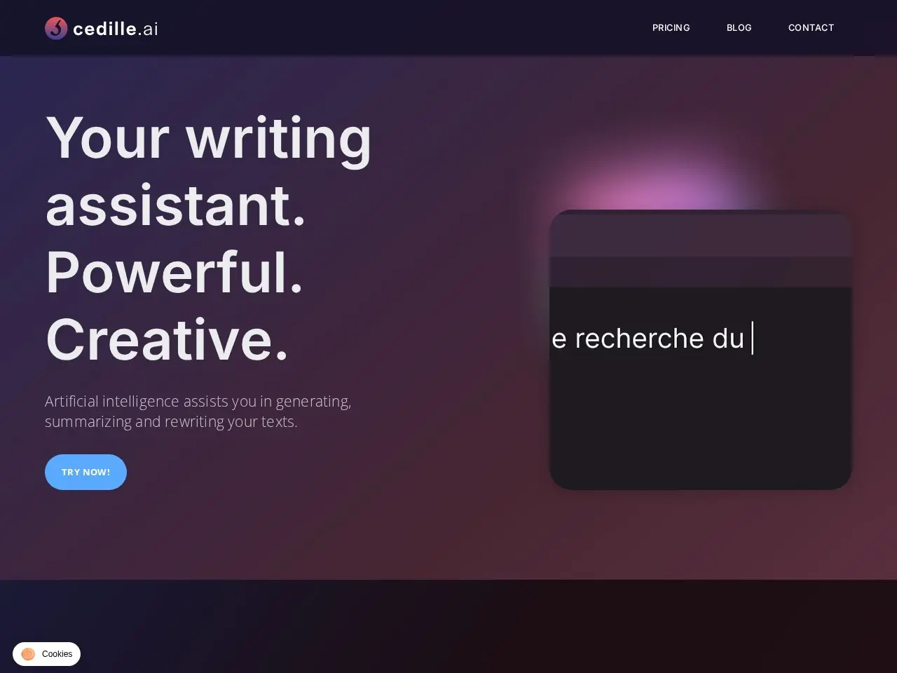 Cedille.ai 智能写作助手，让创意与效率齐飞，轻松生成高质量文本，满足多样写作需求