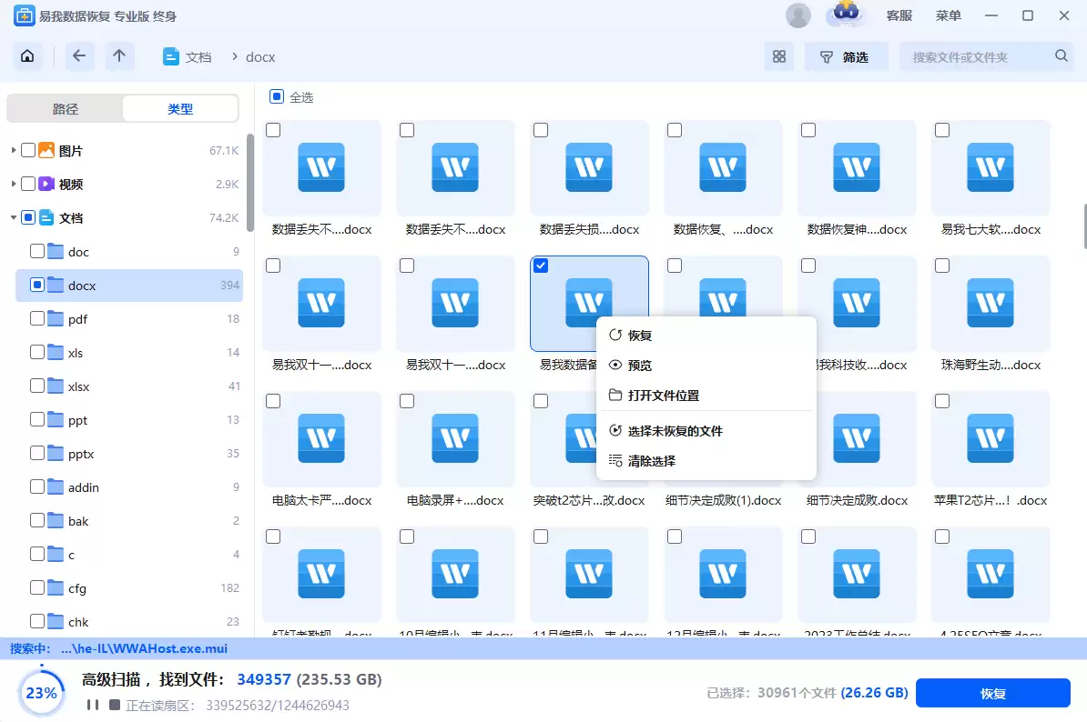 扫描结果界面，展示可恢复的文件列表和预览功能