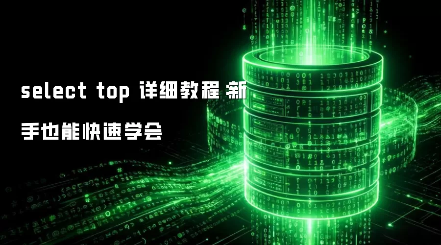 select top 详细教程：新手也能快速学会