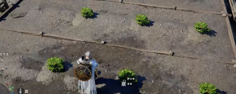 《红色沙漠》获得大量野山参方法介绍