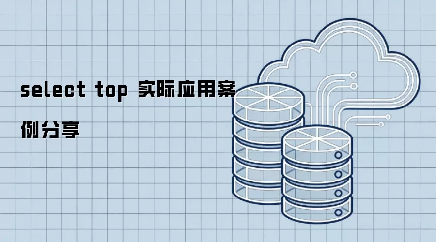 select top 实际应用案例分享