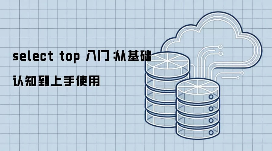 select top 入门:从基础认知到上手使用