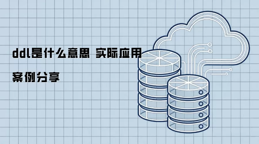 ddl是什么意思 实际应用案例分享