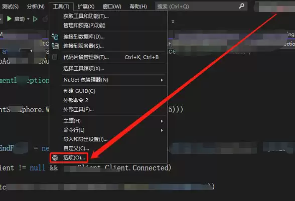 Visual Studio代码预览模式在哪