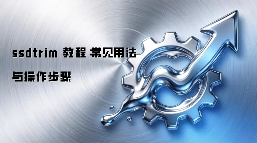 ssdtrim 教程：常见用法与操作步骤